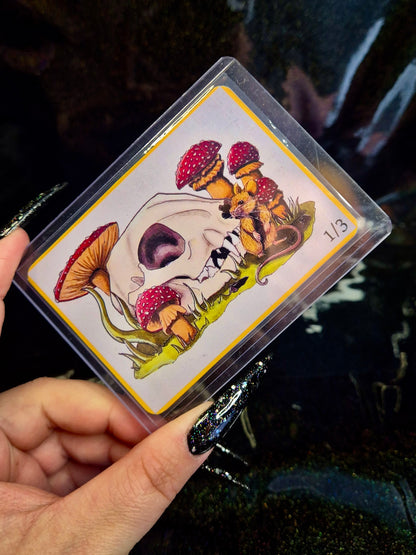 (Limited) ACEO “cat and mouse”