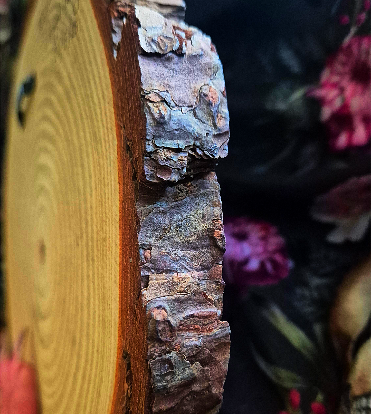 Decayed Beauty large wood painting