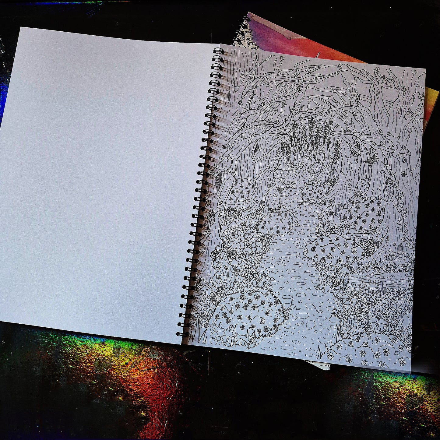 Miss Jackson's Whimsy and wonder colouring book