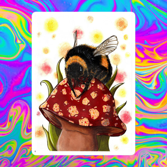 Alberto Bee Bubble-free stickers