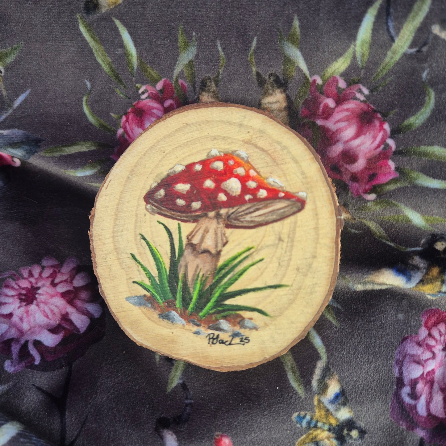 Amanita Muscaria