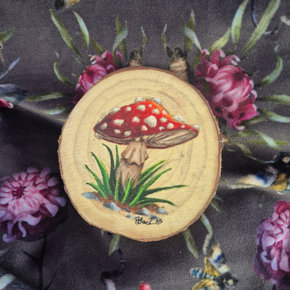 Amanita Muscaria