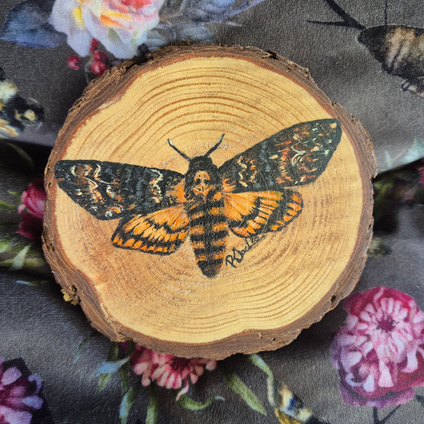 Death Hawk Moth wood round