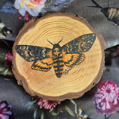 Death Hawk Moth wood round